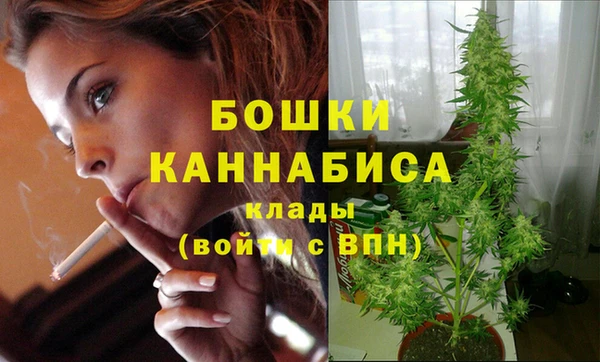 мдпв Лабытнанги