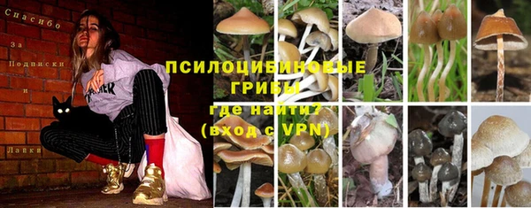 молекула духа Абдулино