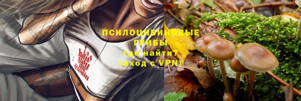 молекула духа Абдулино