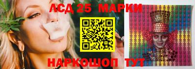 гашик Жуковский