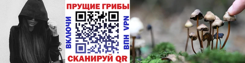 Псилоцибиновые грибы ЛСД  купить наркоту  Комсомольск-на-Амуре 