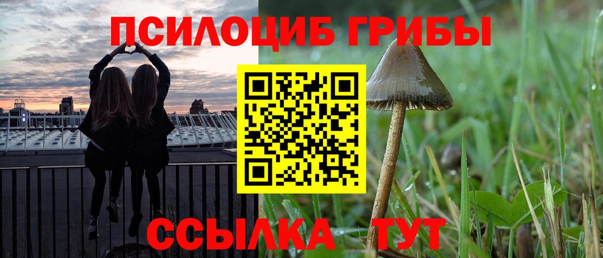 Псилоцибиновые грибы GOLDEN TEACHER  Вход с VPN  Галлюциногенные грибы Magic Shrooms  Комсомольск-на-Амуре 