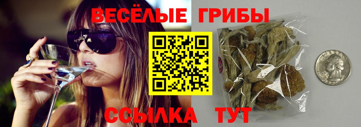 Галлюциногенные грибы Psilocybe Комсомольск-на-Амуре